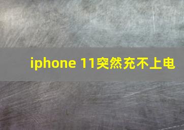 iphone 11突然充不上电